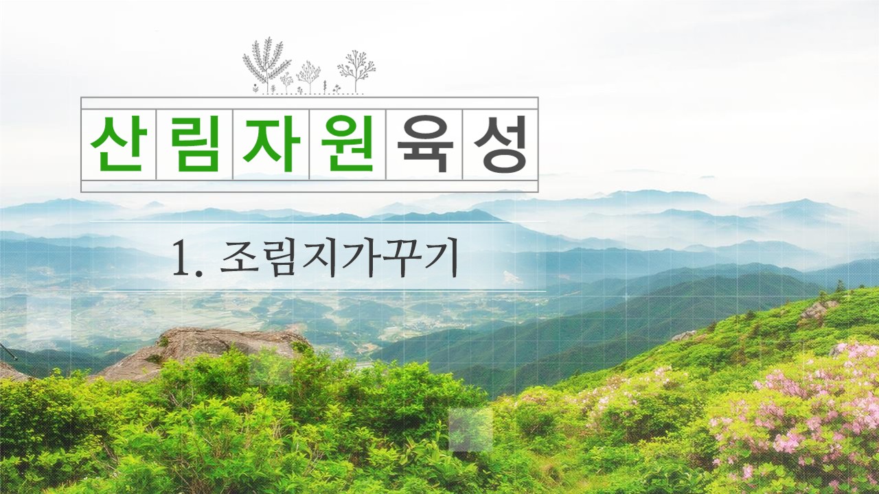 산림자원육성